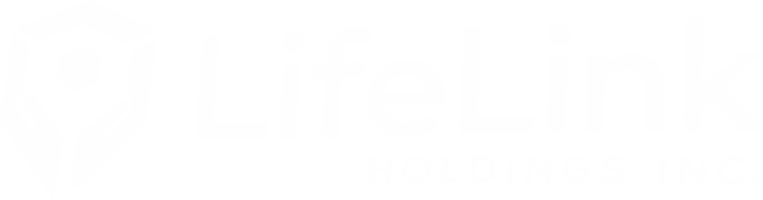 LIFE lINK HOLDINGS